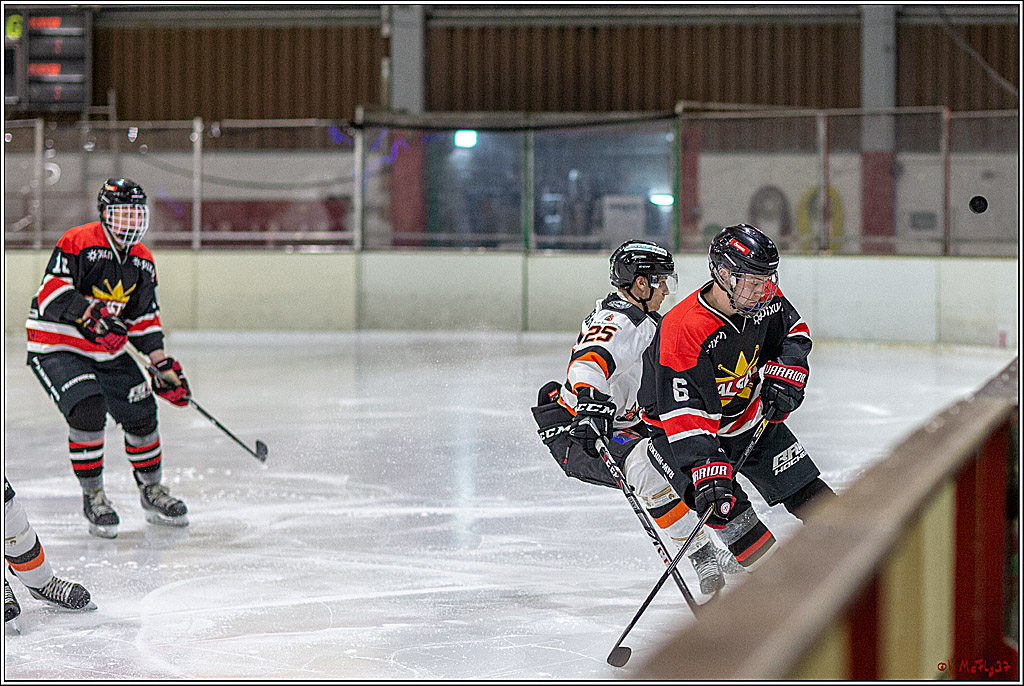 Eissportverein Bergisch Gladbach e.V.–RealStars - Frankfurter Loewen 7-2, 30.03.2019